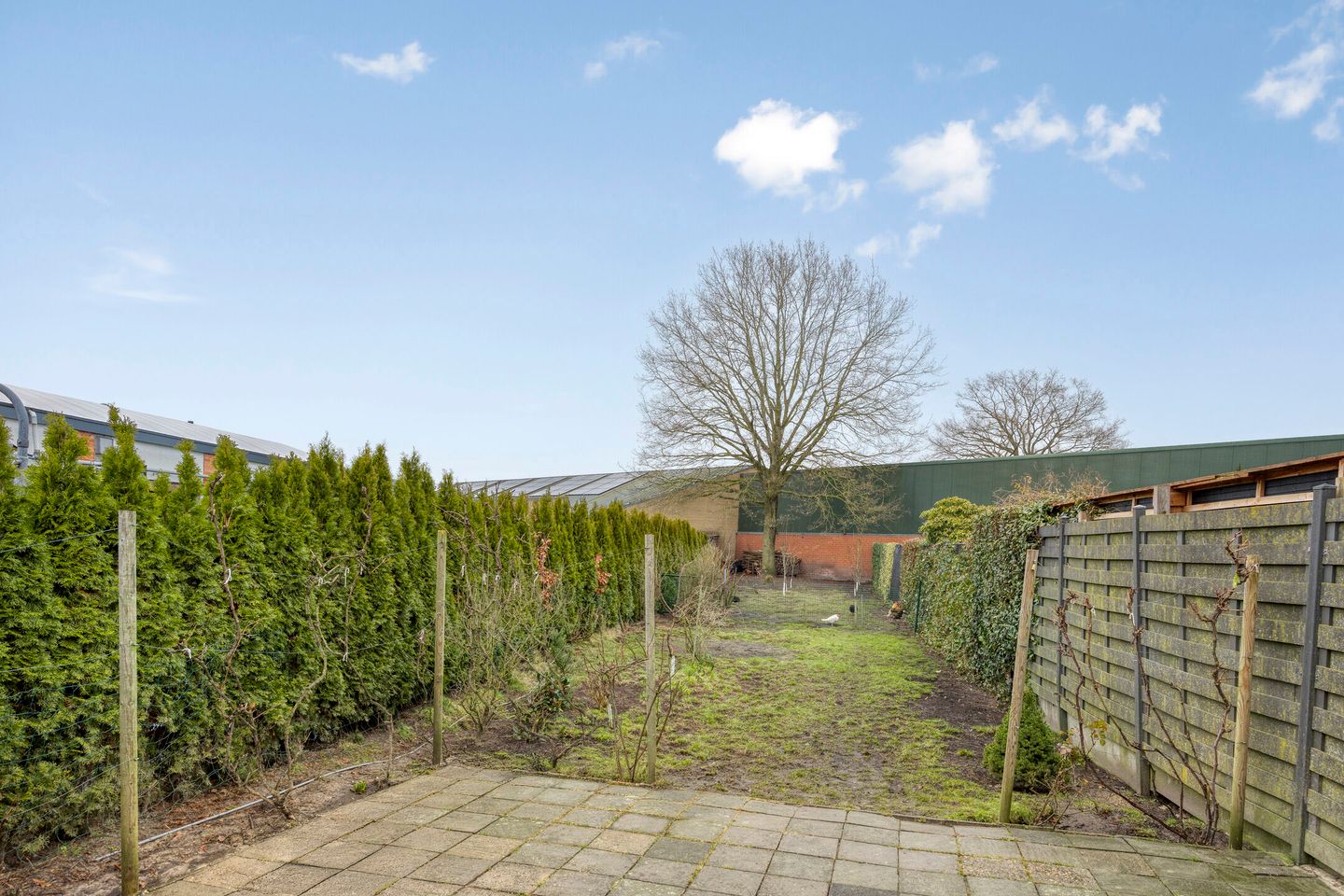 Foto 20 van Loveren 12