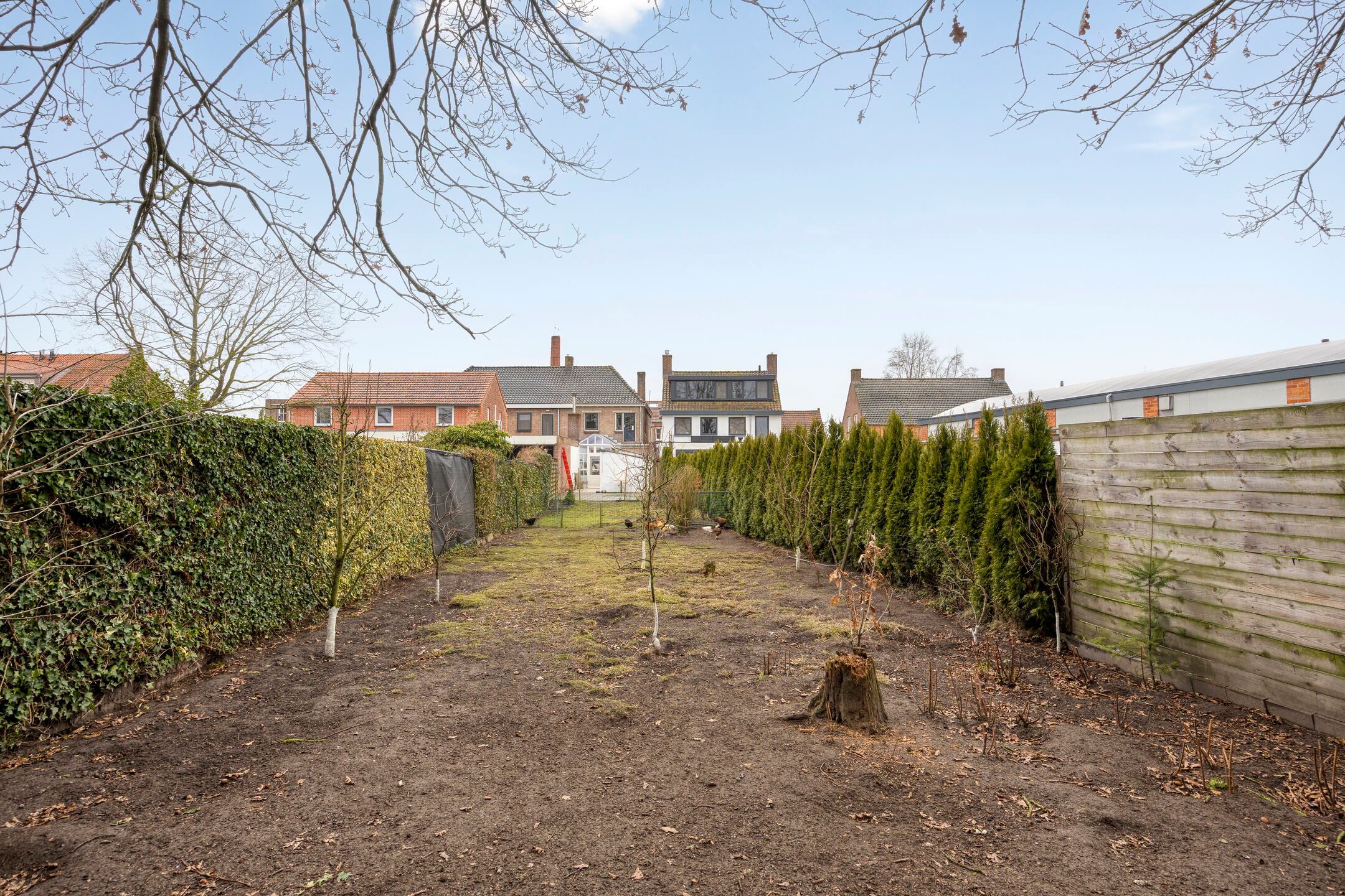 Foto 24 van Loveren 12