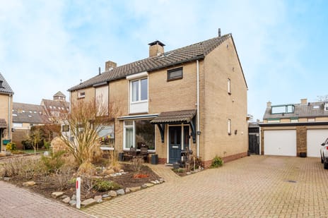 Frans Halsstraat thumbnail