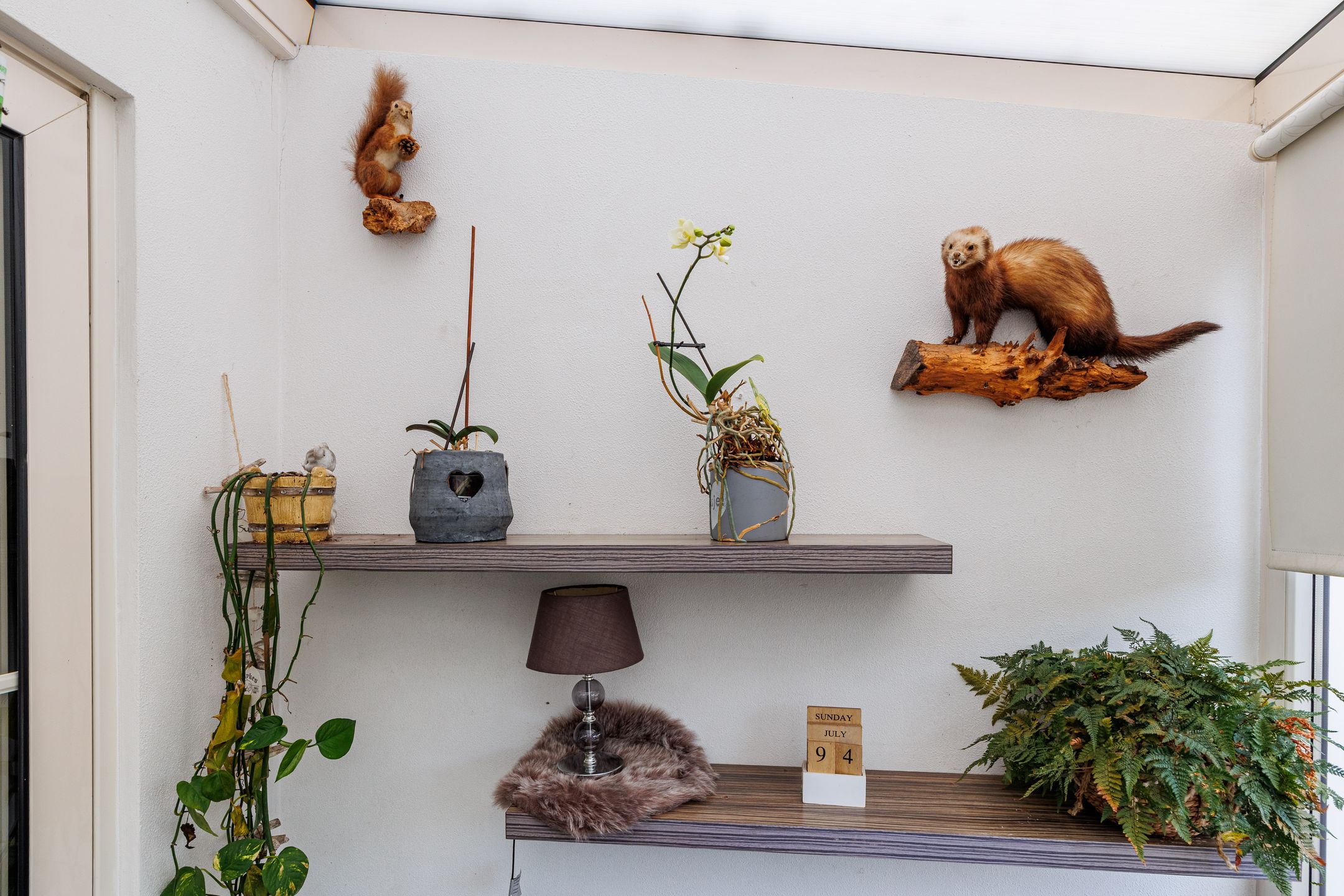 Foto 18 van Frans Halsstraat 7