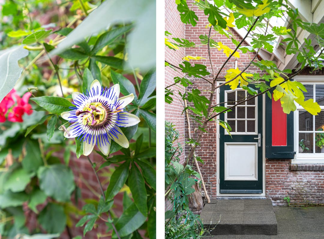 Foto 31 van Duinlustweg 42