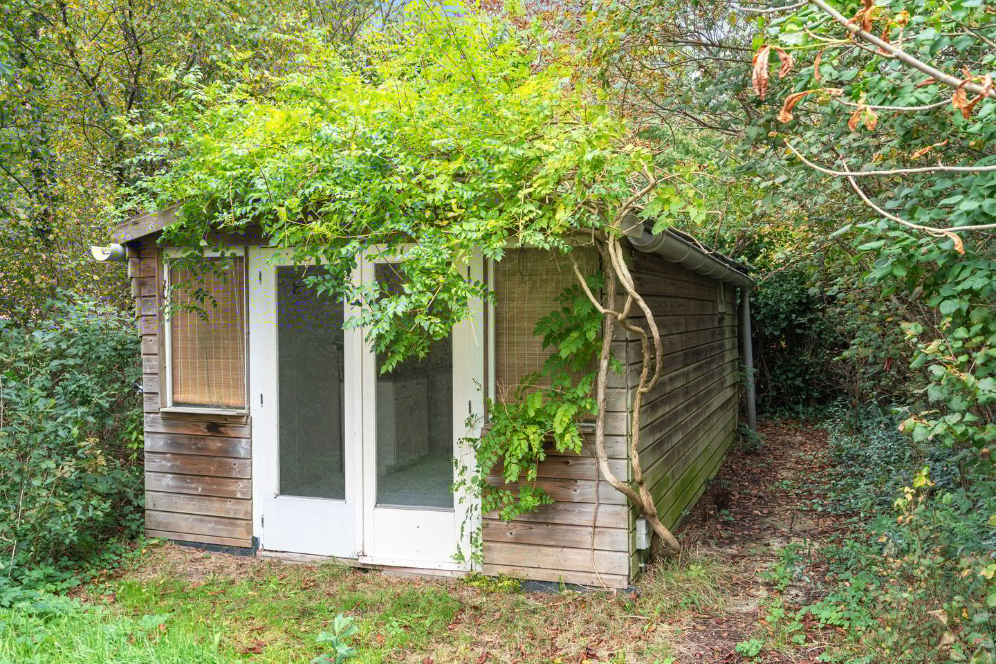 Foto 50 van Duinlustweg 42