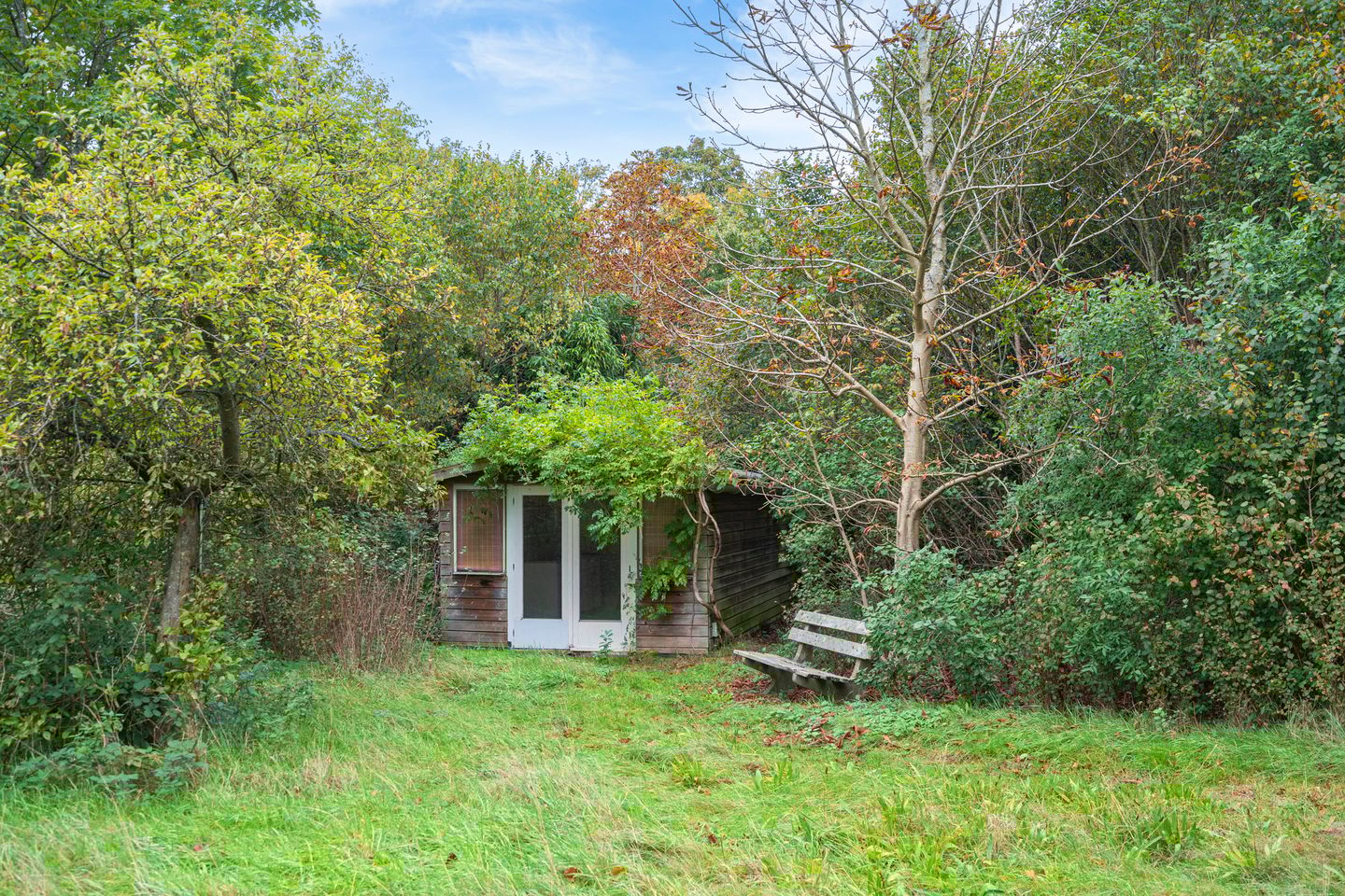 Foto 49 van Duinlustweg 42