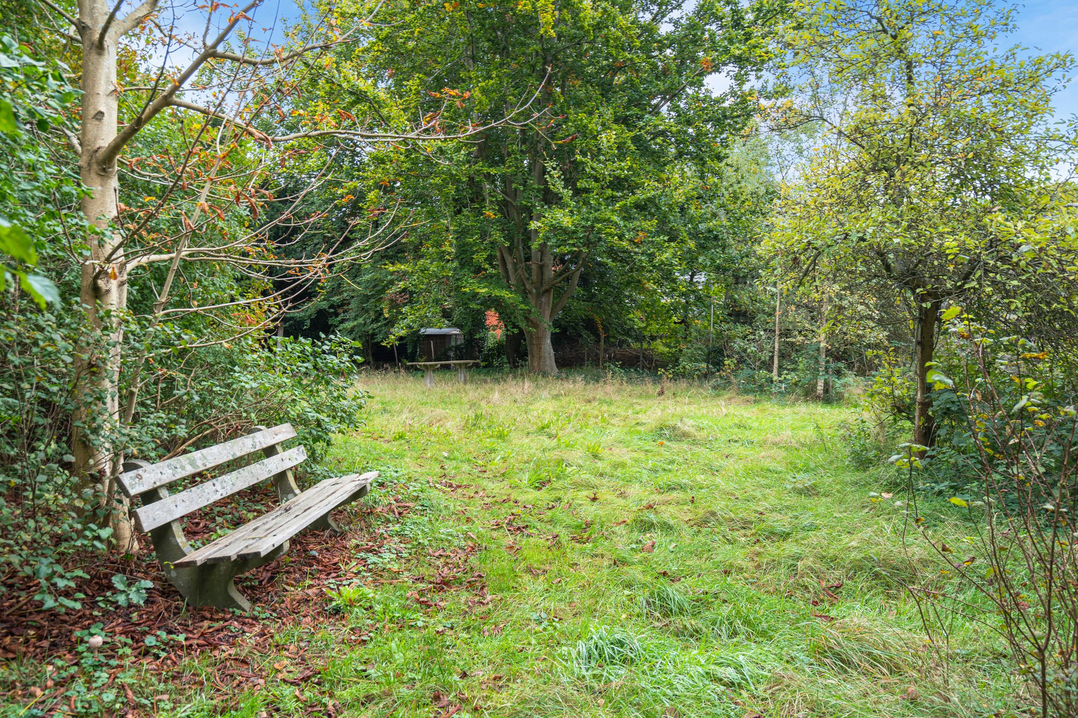 Foto 54 van Duinlustweg 42