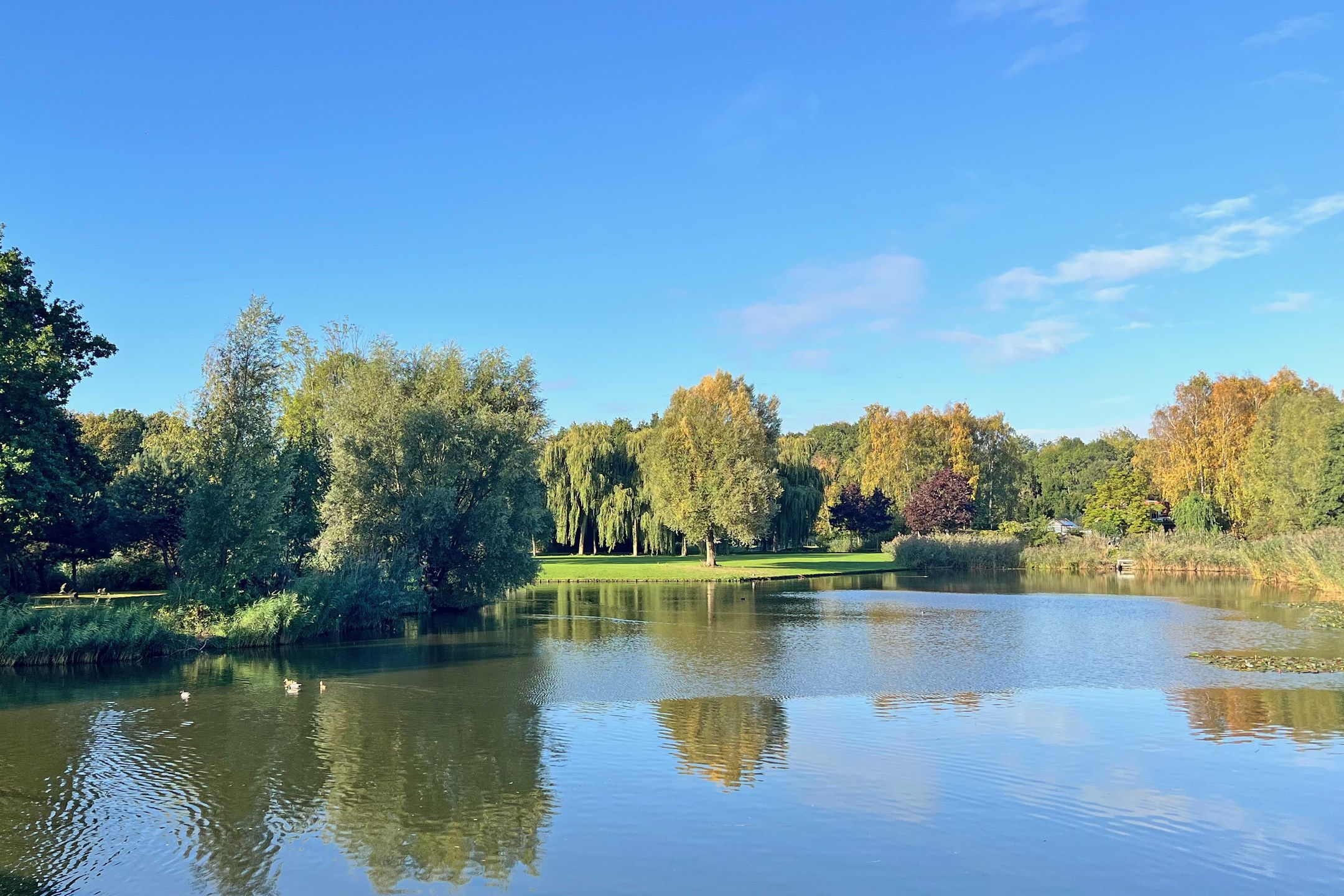 Foto 36 van Pleinweg 170-B