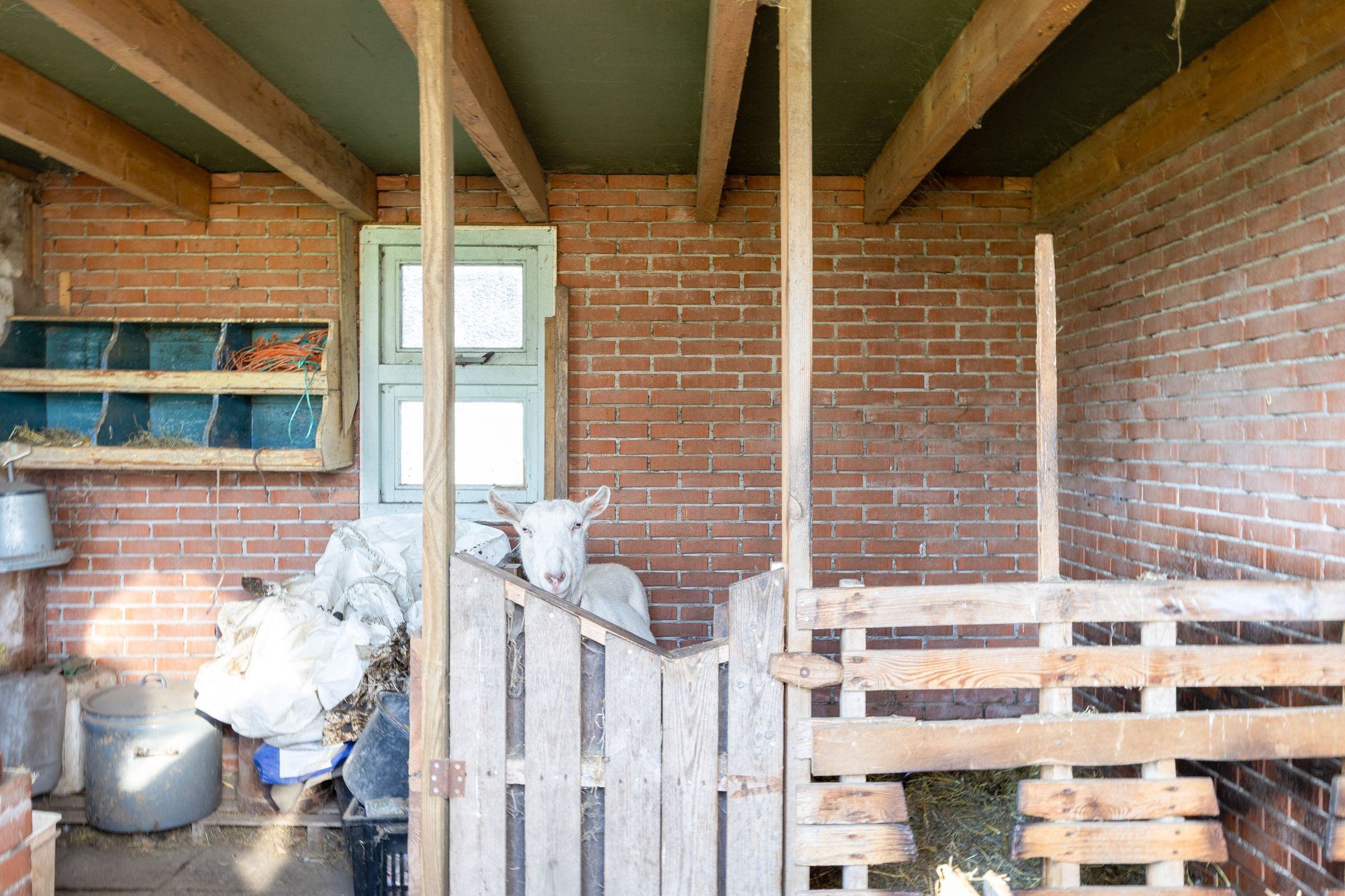 Foto 42 van Uthôf 4