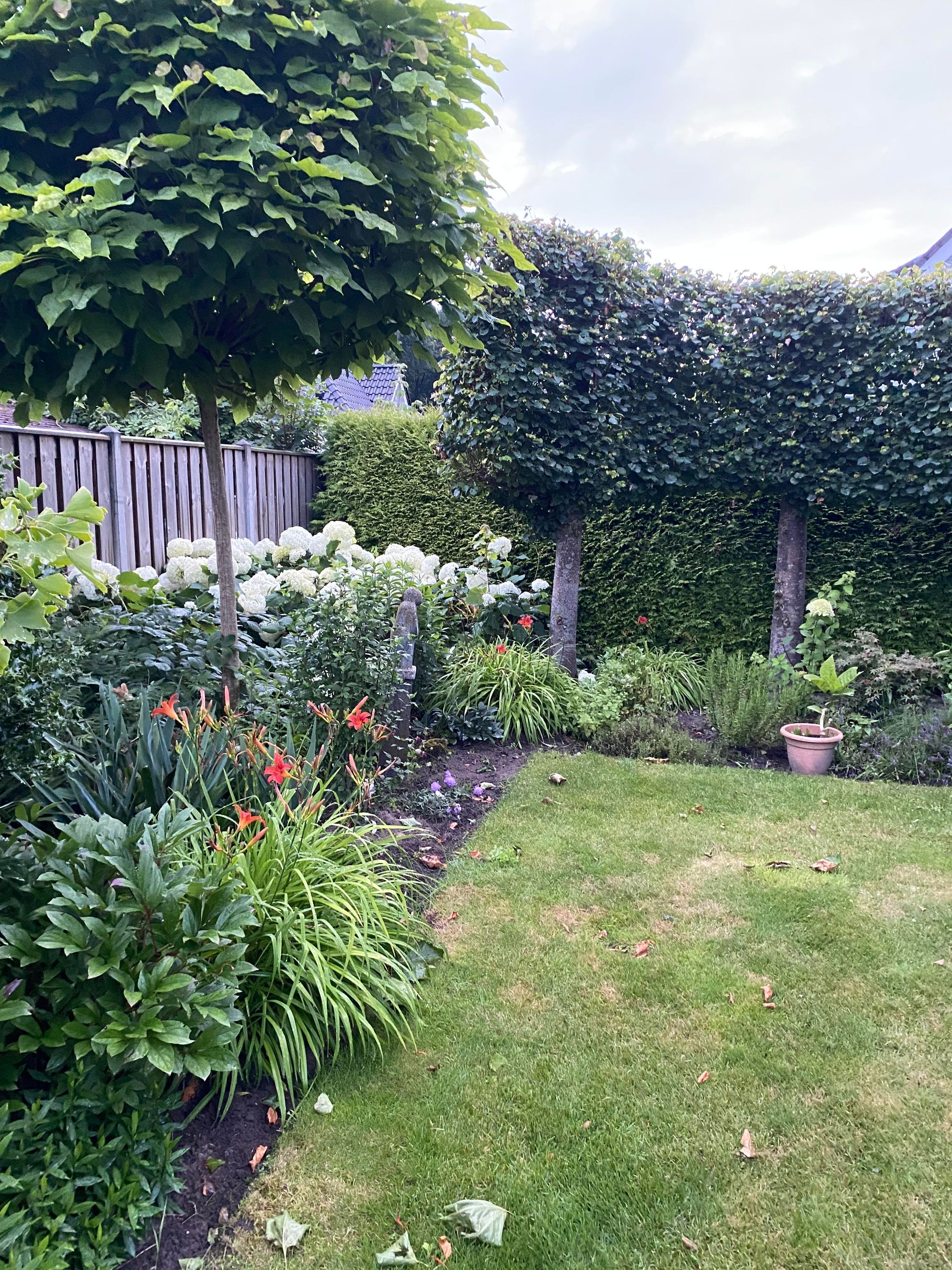 Foto 48 van De Voorreep 65