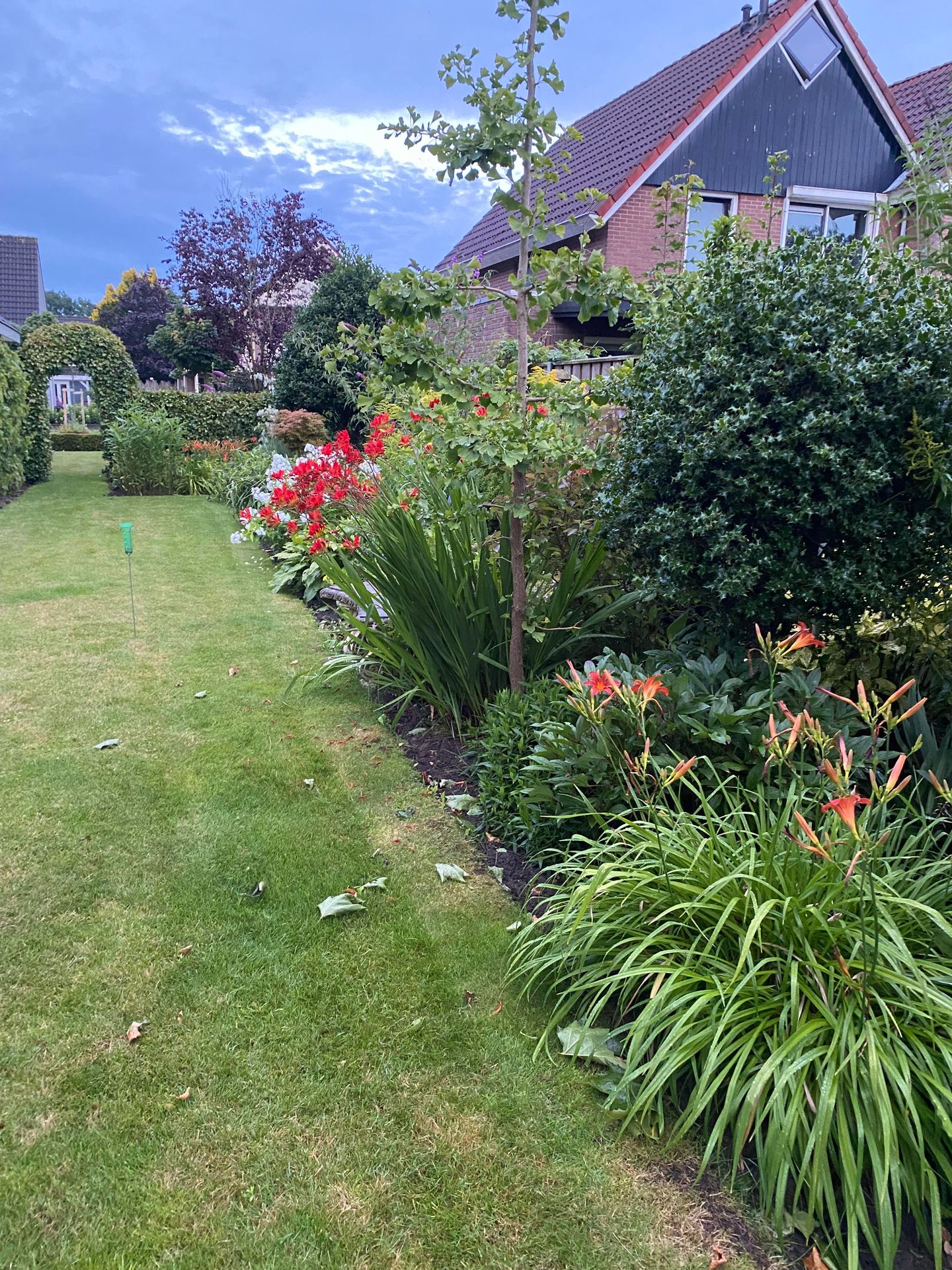 Foto 50 van De Voorreep 65