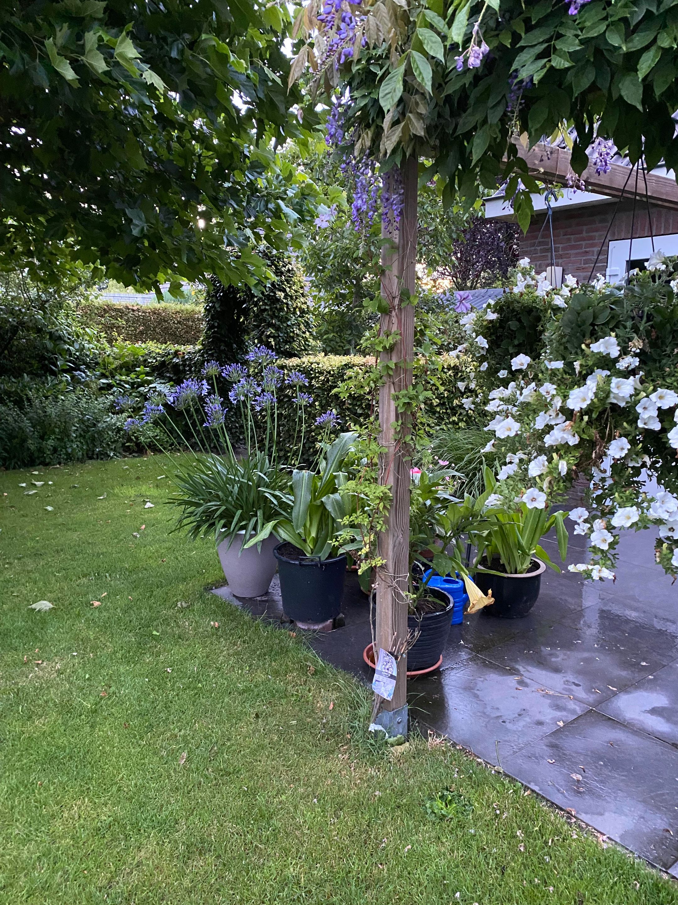 Foto 51 van De Voorreep 65