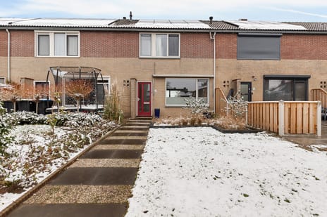 undefined main image