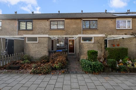 undefined main image