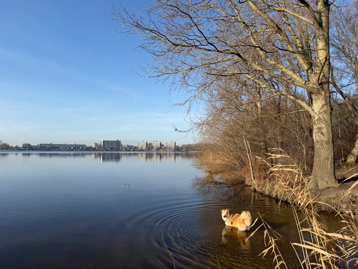 Foto 34 van Saffierstraat 21