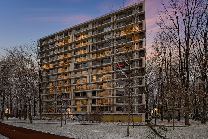 Foto 1 van Rachmaninoffplantsoen 23