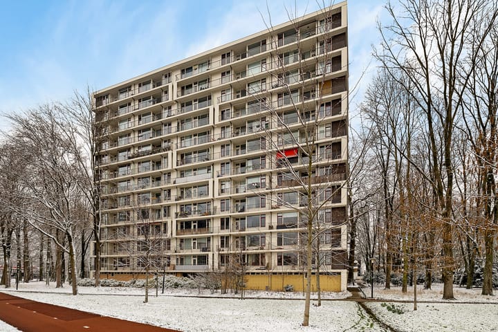 Foto 25 van Rachmaninoffplantsoen 23