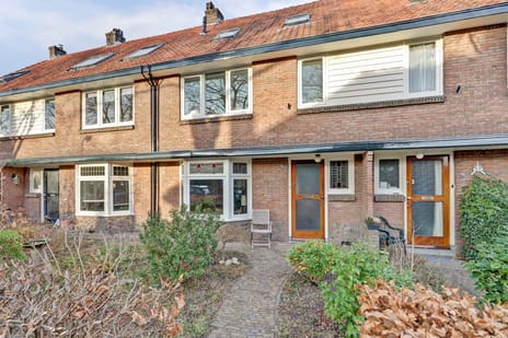 Timorstraat thumbnail