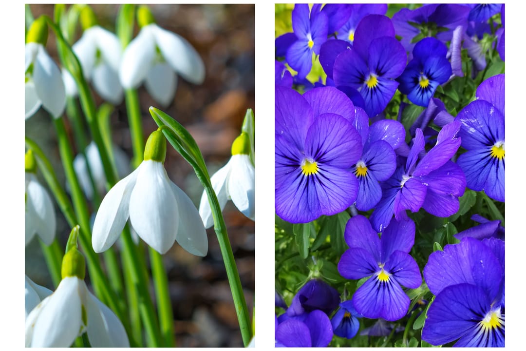 Foto 47 van W Banninglaan 9