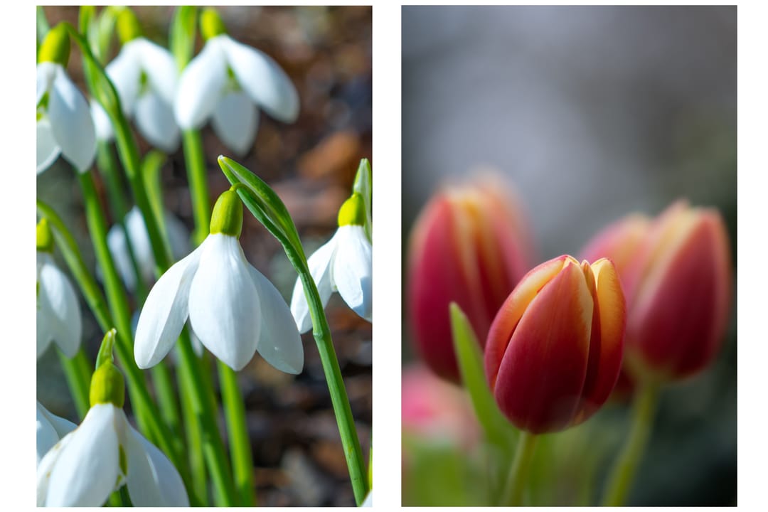 Foto 52 van W Banninglaan 9