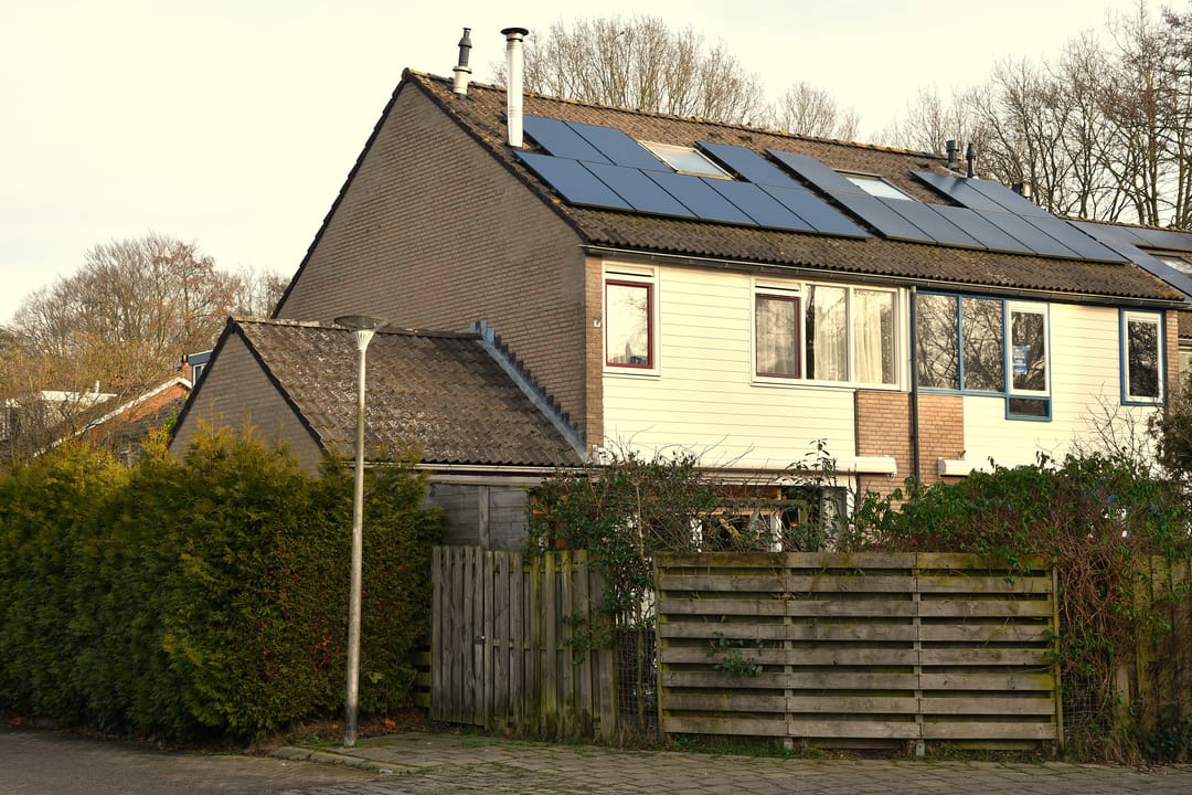 Photo 7 of Schieland 20