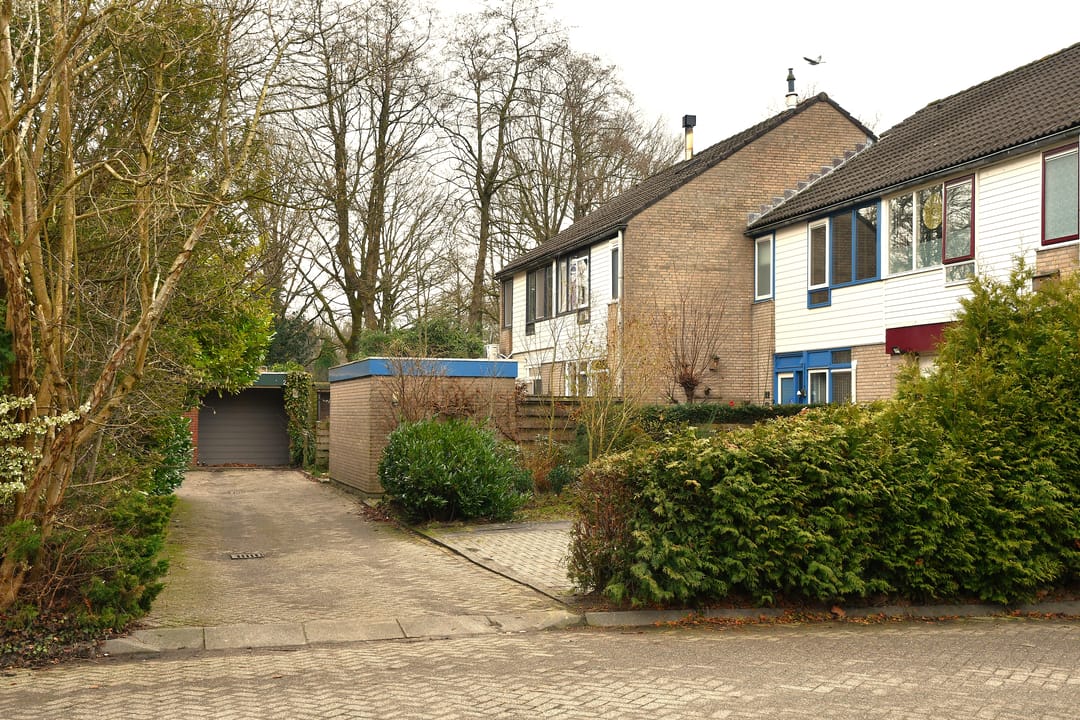 Photo 8 of Schieland 20