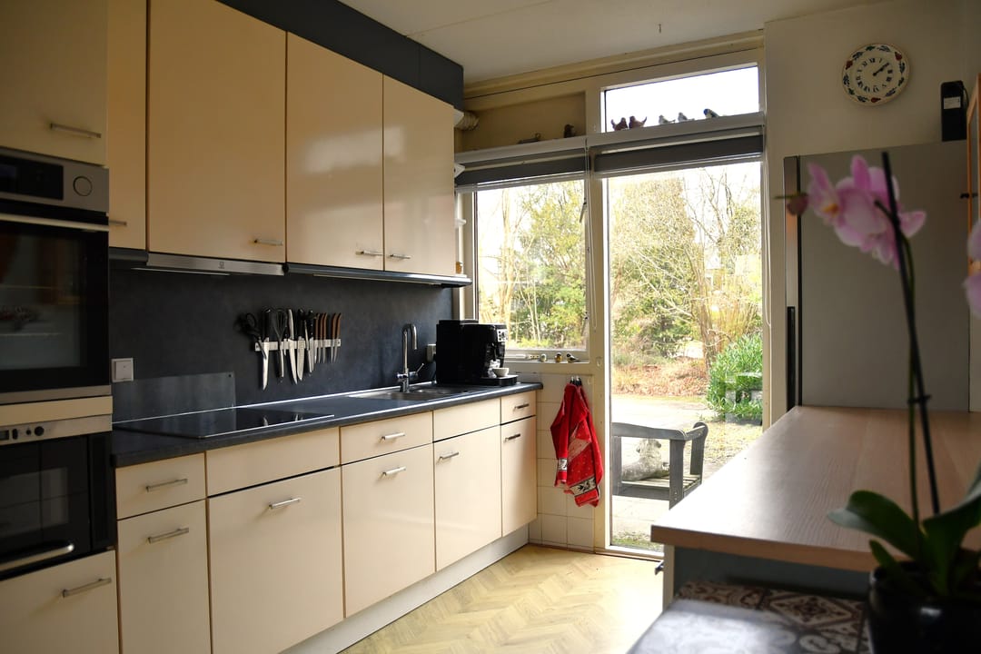 Photo 13 of Schieland 20