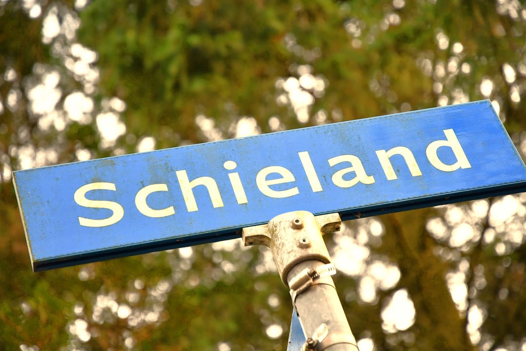 Photo 32 of Schieland 20