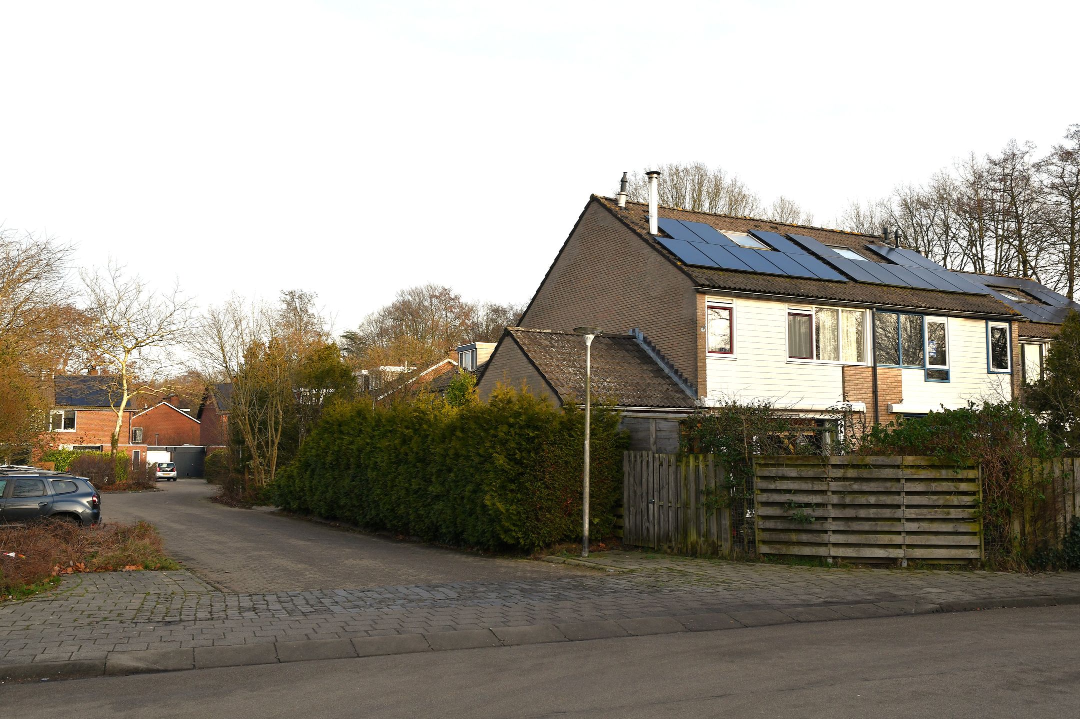 Photo 33 of Schieland 20