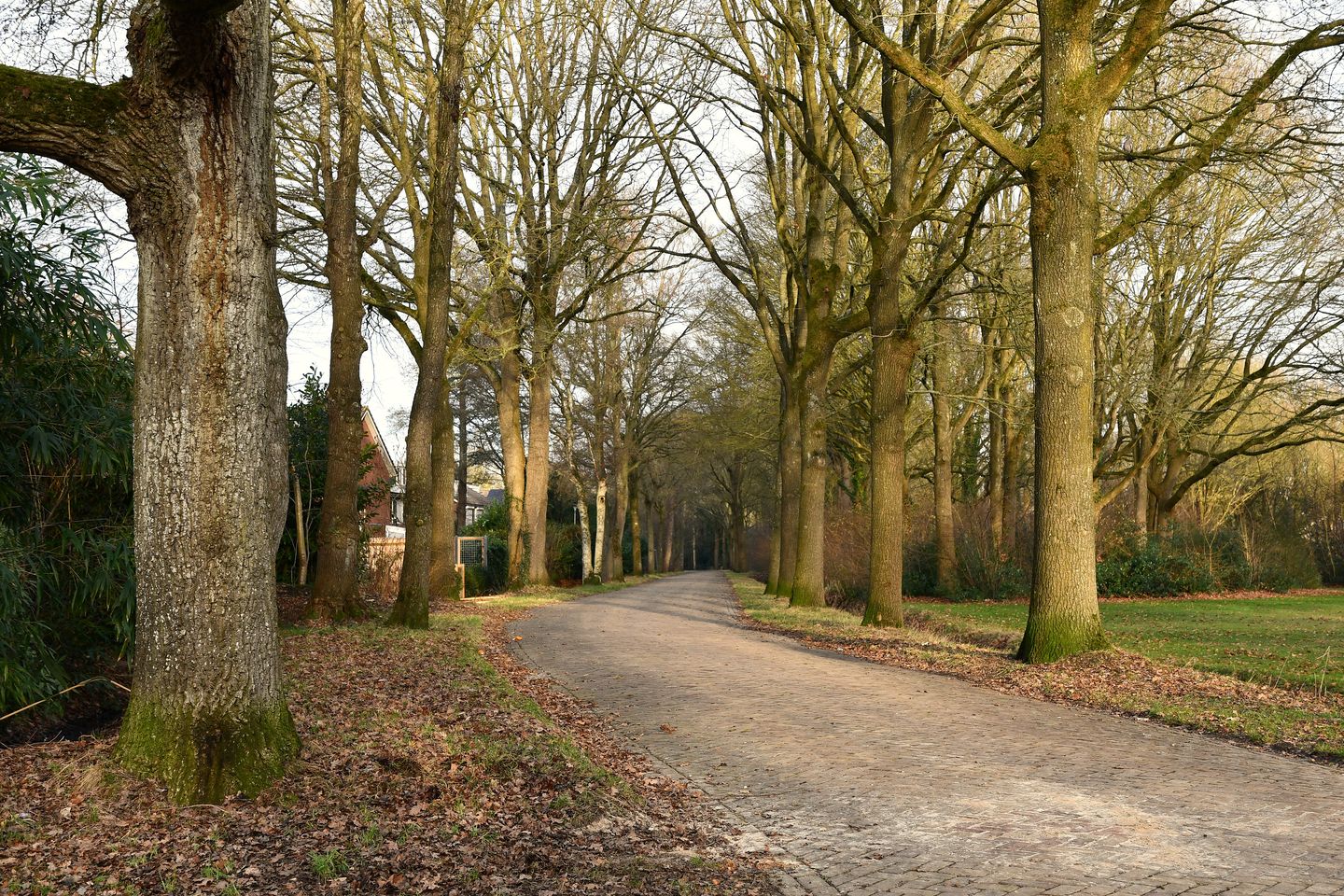 Photo 34 of Schieland 20