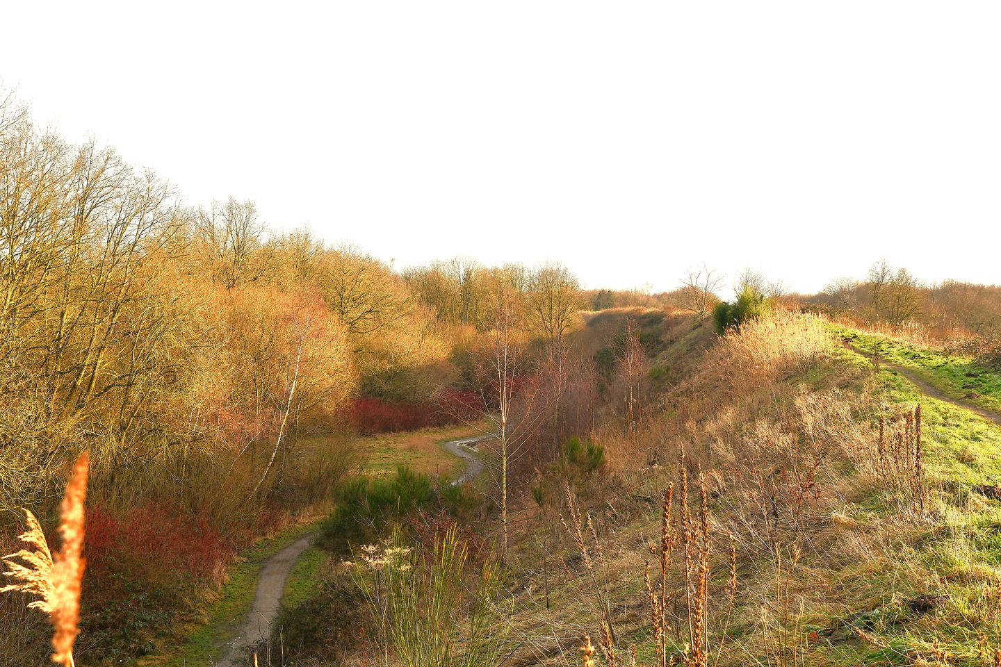 Photo 35 of Schieland 20