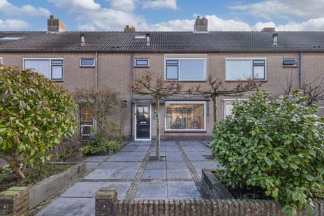 undefined main image