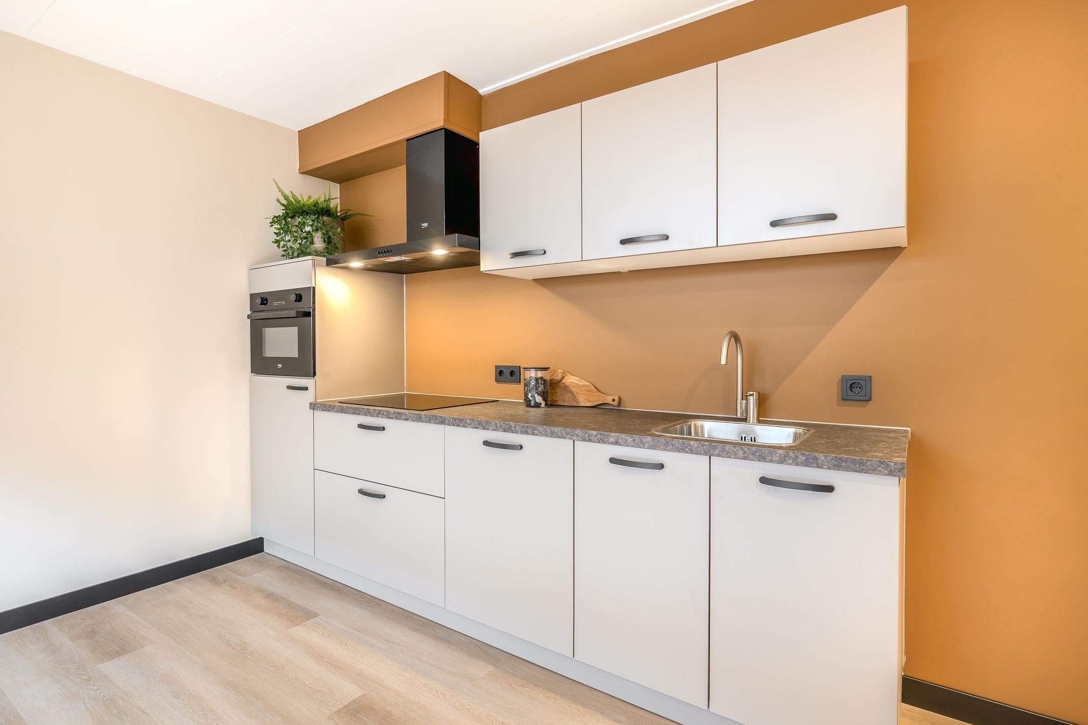 Foto 3 van Waspiksedijk 5