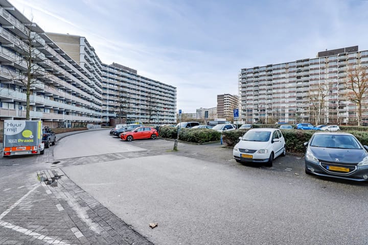 Photo 3 of Kadoelerbos 43