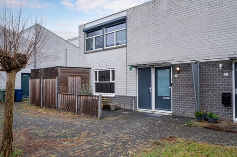 undefined main image