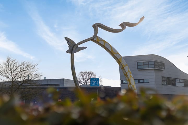 Photo 35 of Inspecteur Schreuderlaan 70