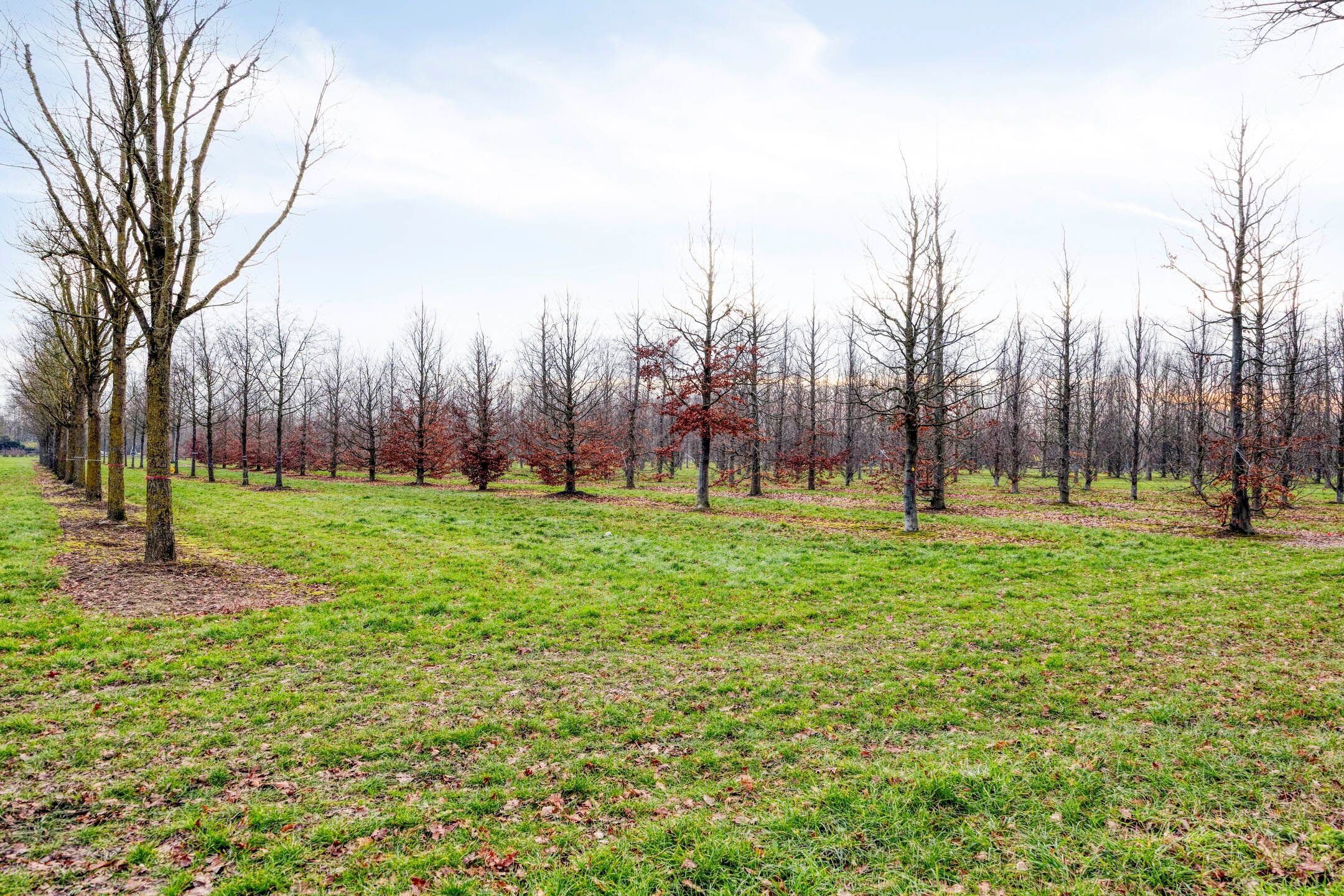 Foto 57 van Buizenberg 25