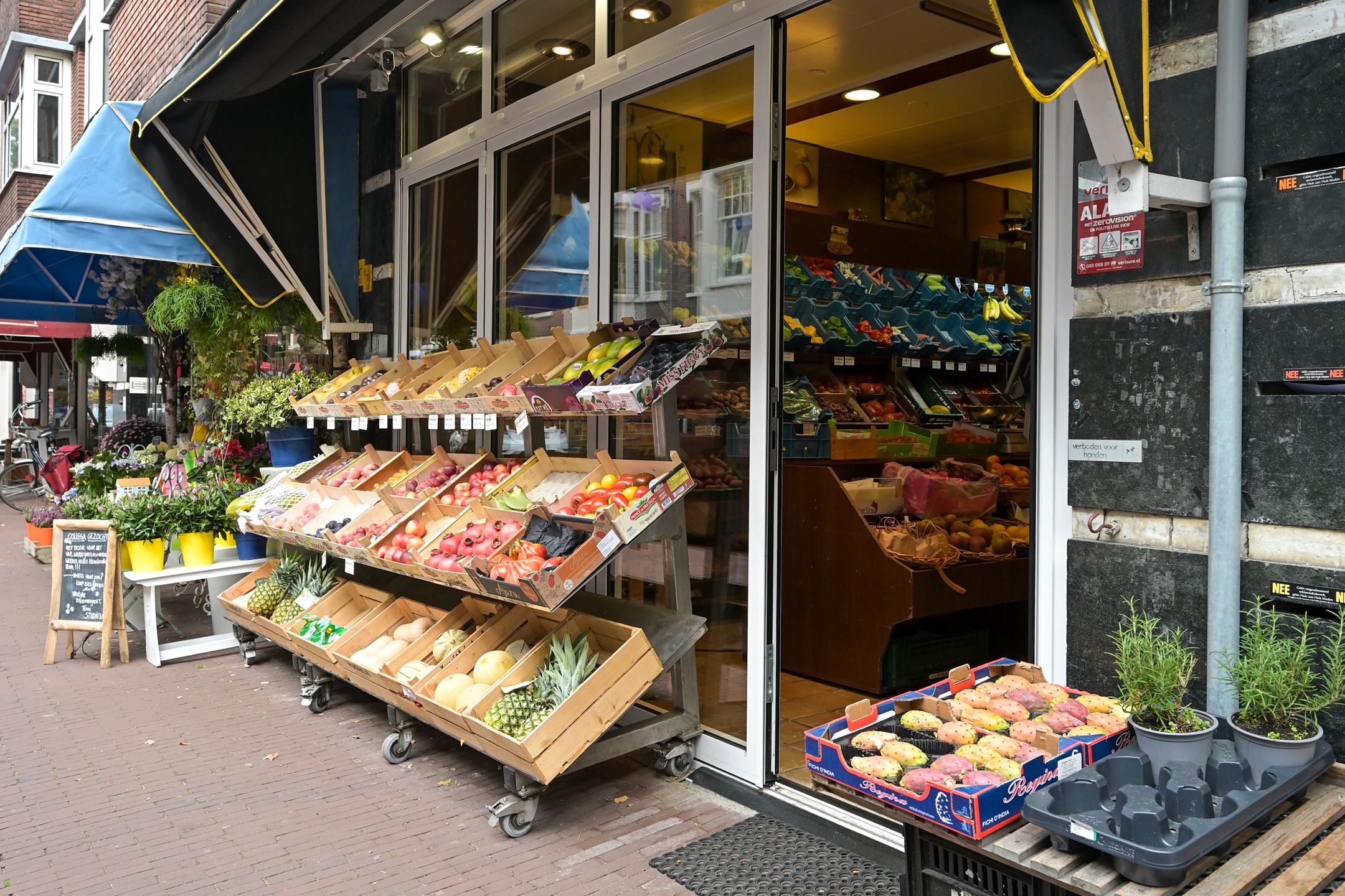 Photo 48 of Obrechtstraat 366