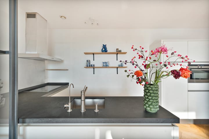 Foto 17 van Carolina MacGillavrylaan 436