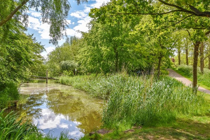 Foto 38 van Carolina MacGillavrylaan 436