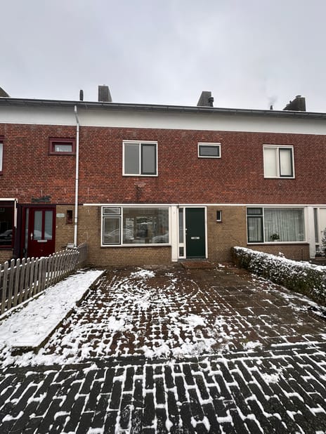 undefined main image