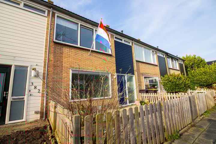 Photo 4 of Hertog Albrechtstraat 384