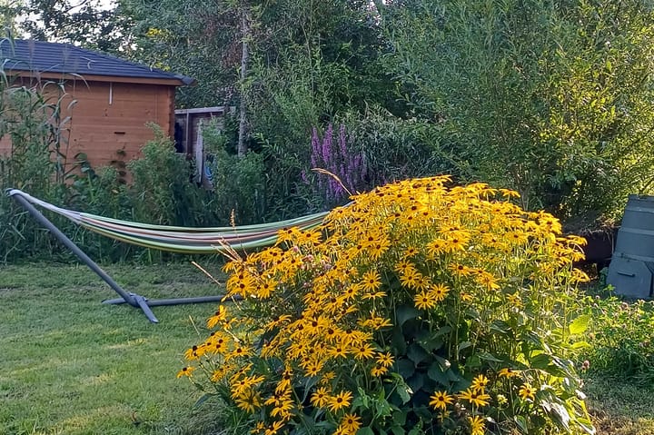 Foto 28 van Jan Dorrekenskade-West 16