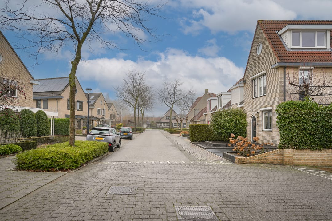 Photo 41 of Gieser Wildeman 14