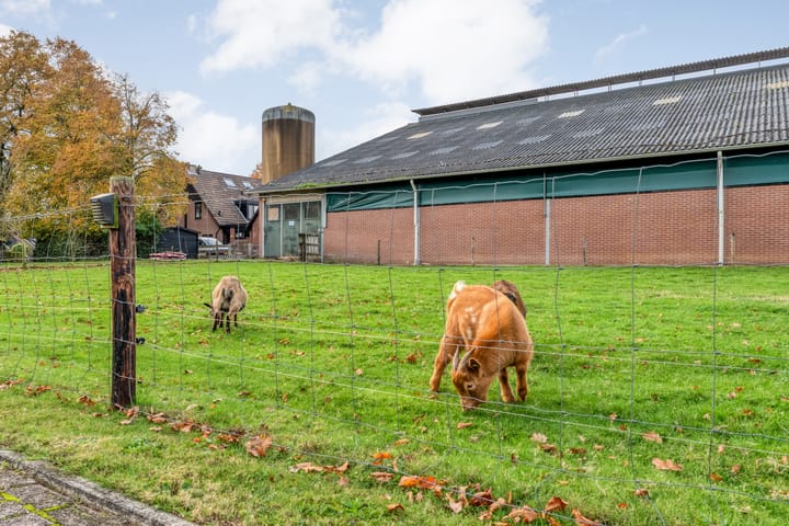 Foto 10 van Broekdijk 44