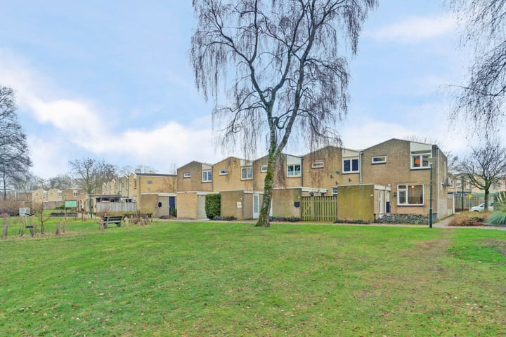 Photo 38 of Luiwerk 21