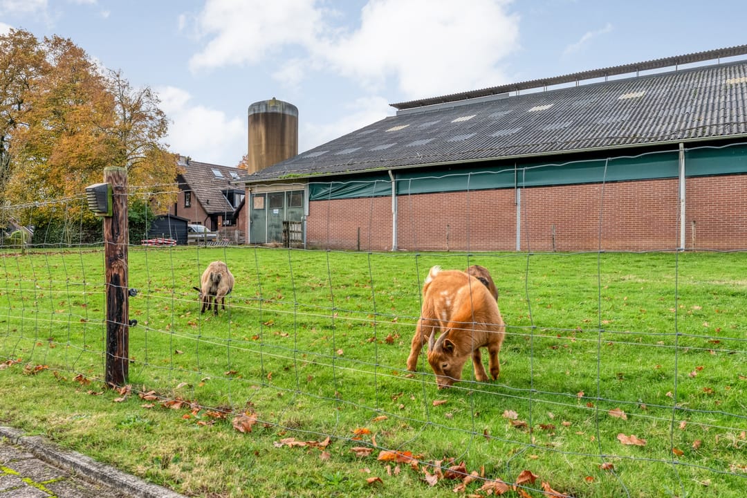 Foto 7 van Broekdijk