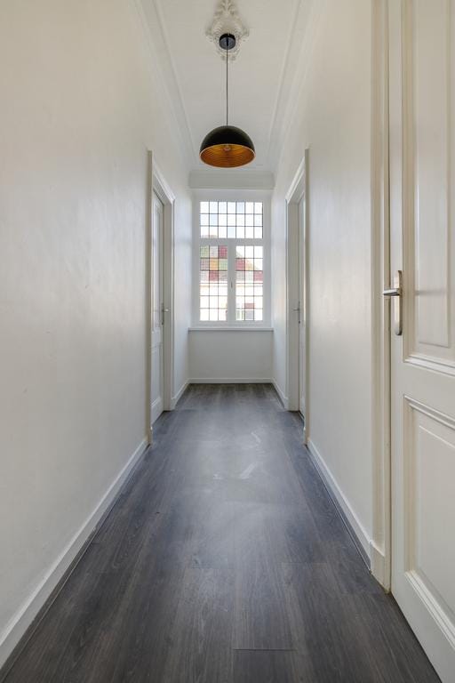 Foto 18 van Maaspoort 36-A