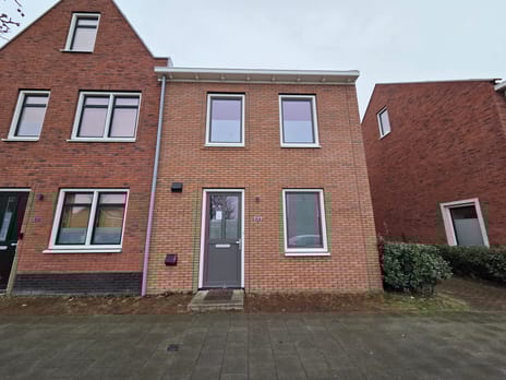 undefined main image