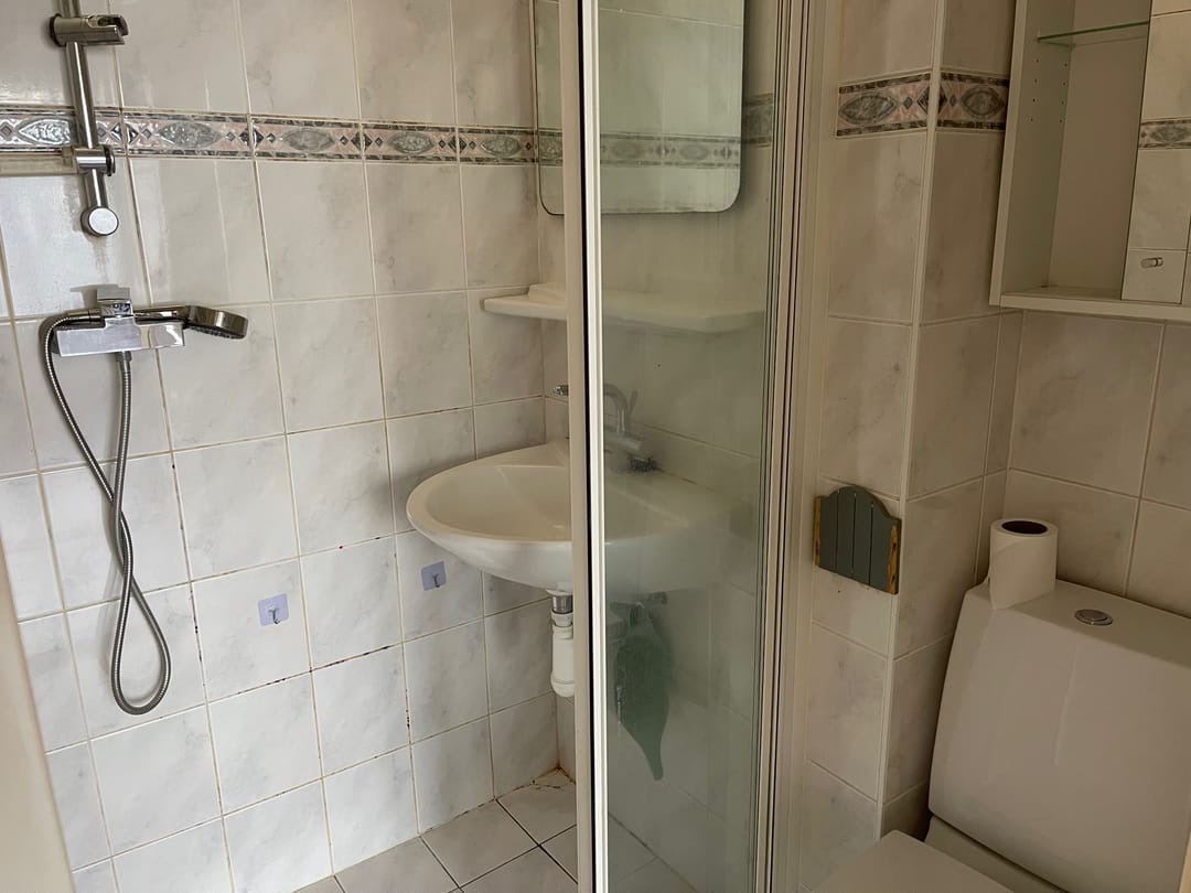 Foto 13 van Goereesestraat 113-B