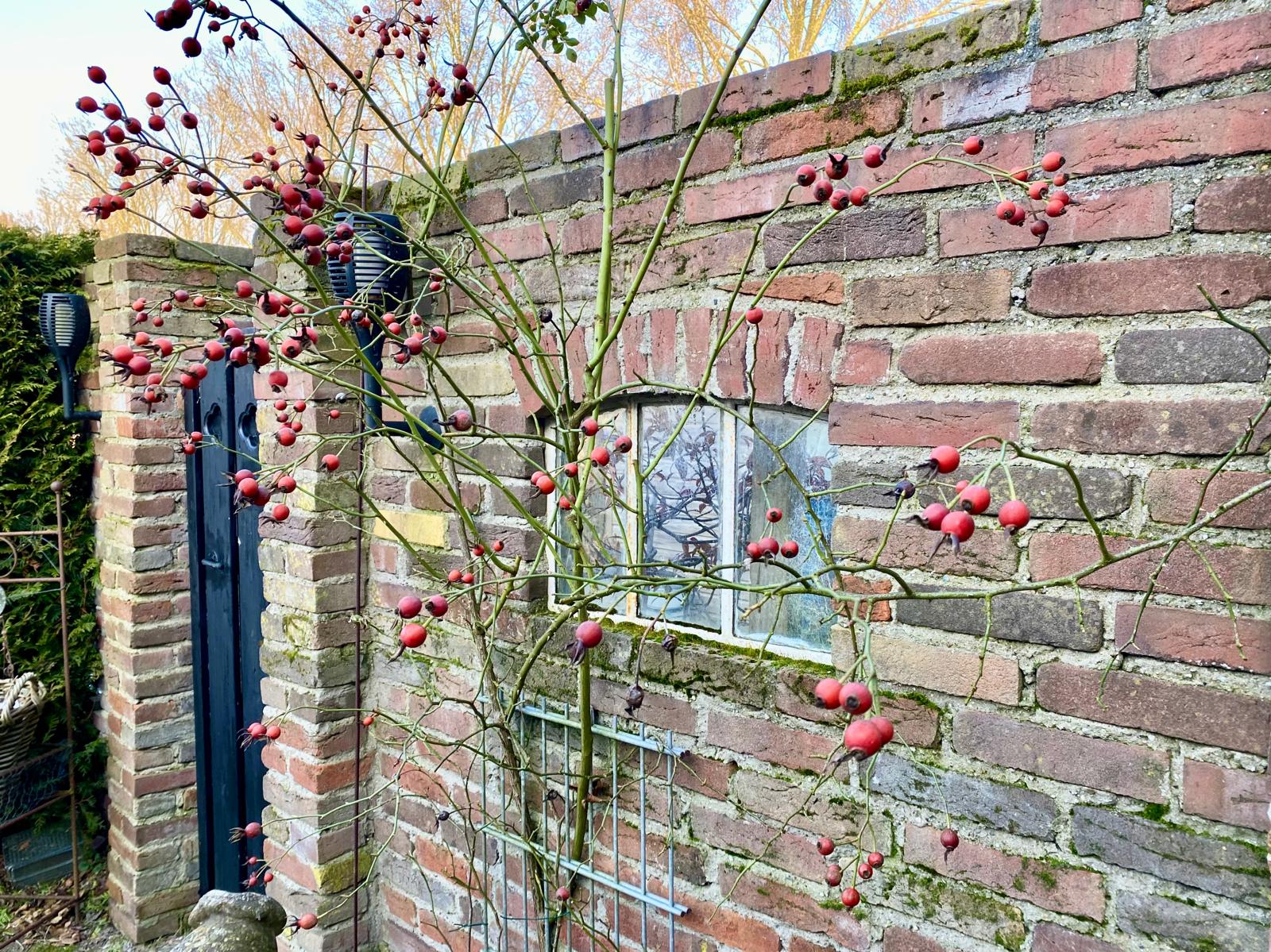 Foto 42 van Ermeline 65