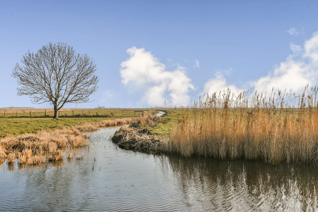 Foto 23 van Dorpsstraat 17