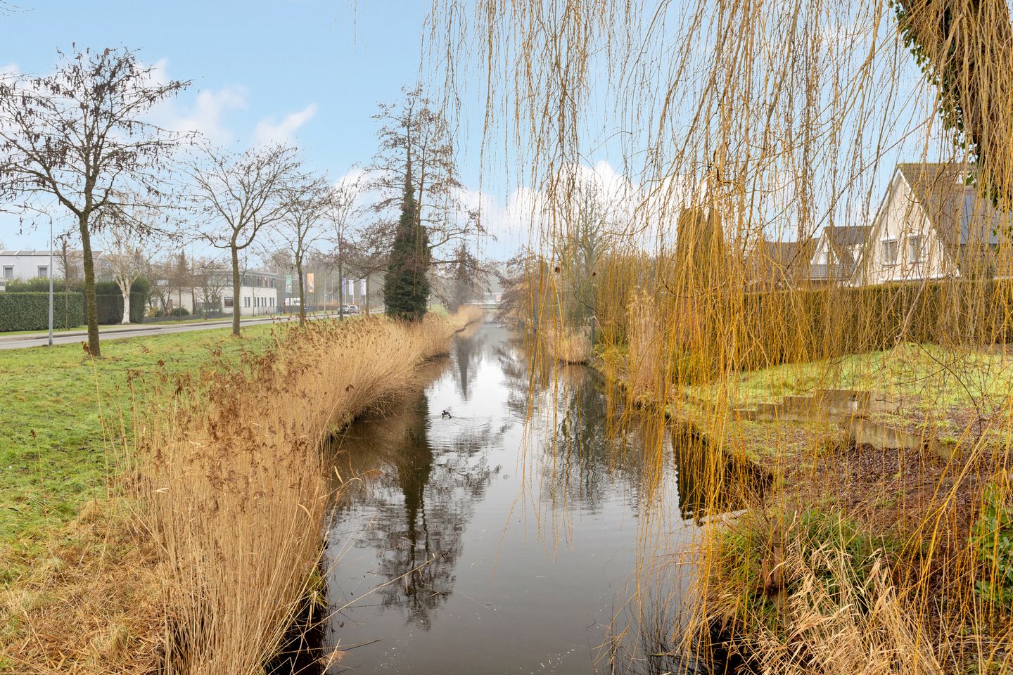 Foto 34 van Egelantier 63